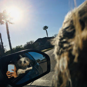 Meet your Posher, Kiara